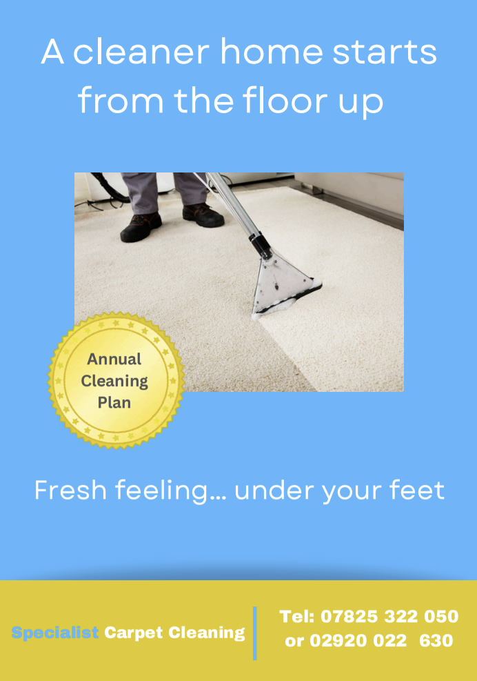 Annual Cleaning Plan brochure page 1