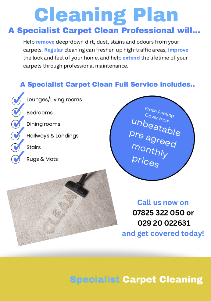 Annual Cleaning Plan brochure page 3